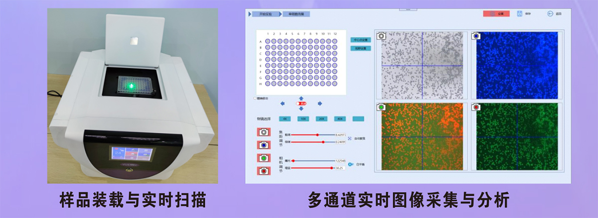 全视野细胞扫描分析仪