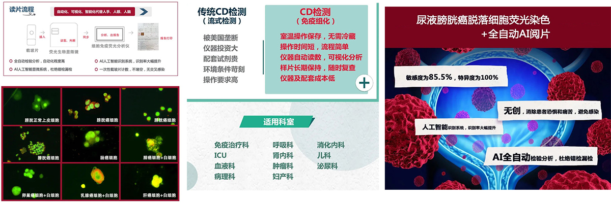 YS-FSCA1双通道荧光分析仪