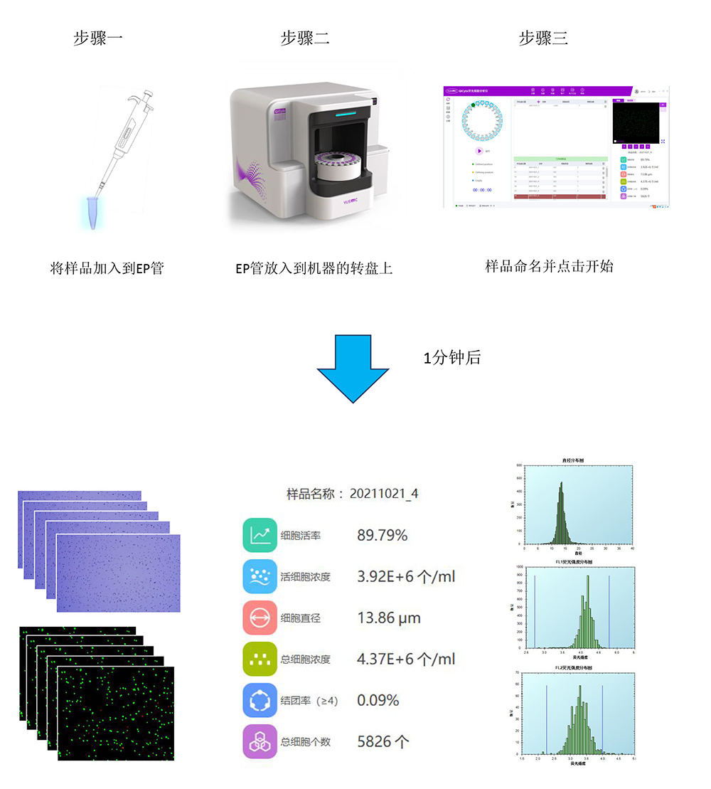 Qicyto全自动高通量荧光细胞分析仪